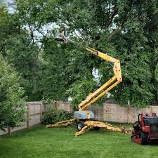 Best Commercial Tree Services  in Sappington, MO